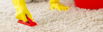 How to Get Stains Out of a Carpet