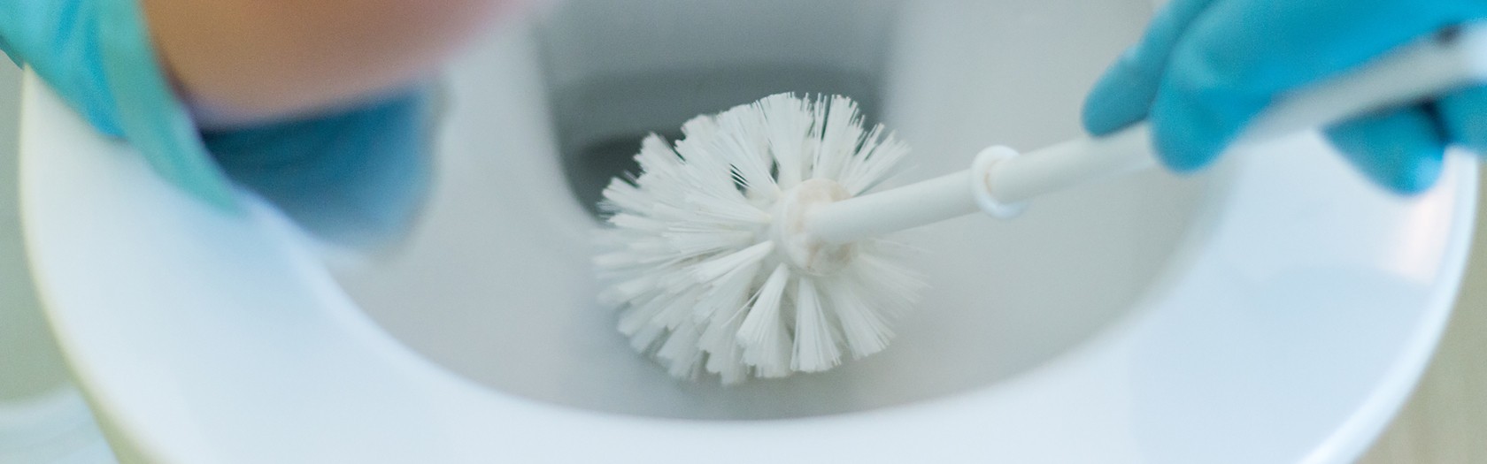 Toilette Sauber Halten Die Besten Mittel Frag Team Clean