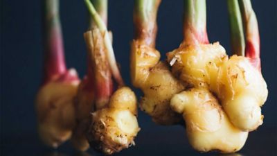Grow your own garlic