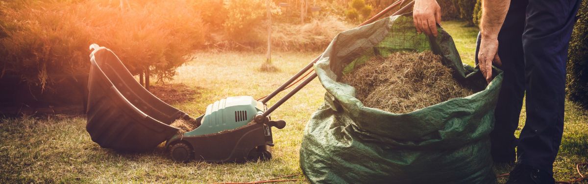 Rasen vertikutieren: Alles Wissenswerte | Frag Team Clean