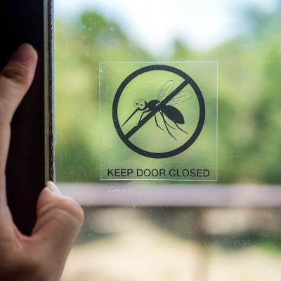 Mücken vertreiben mit Hausmitteln: Im Garten, im Zimmer und auf der Terrasse