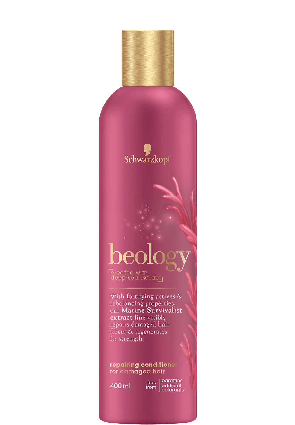 Pre Shampoo