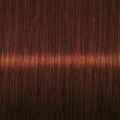Autumn Brown