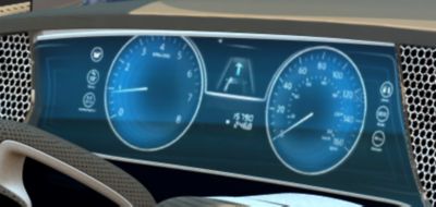 Digitalized information cluster display that not only showing the speed but also prividing car conditions.