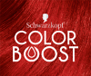 Color Boost logo