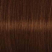 Chatain Clair Noisette