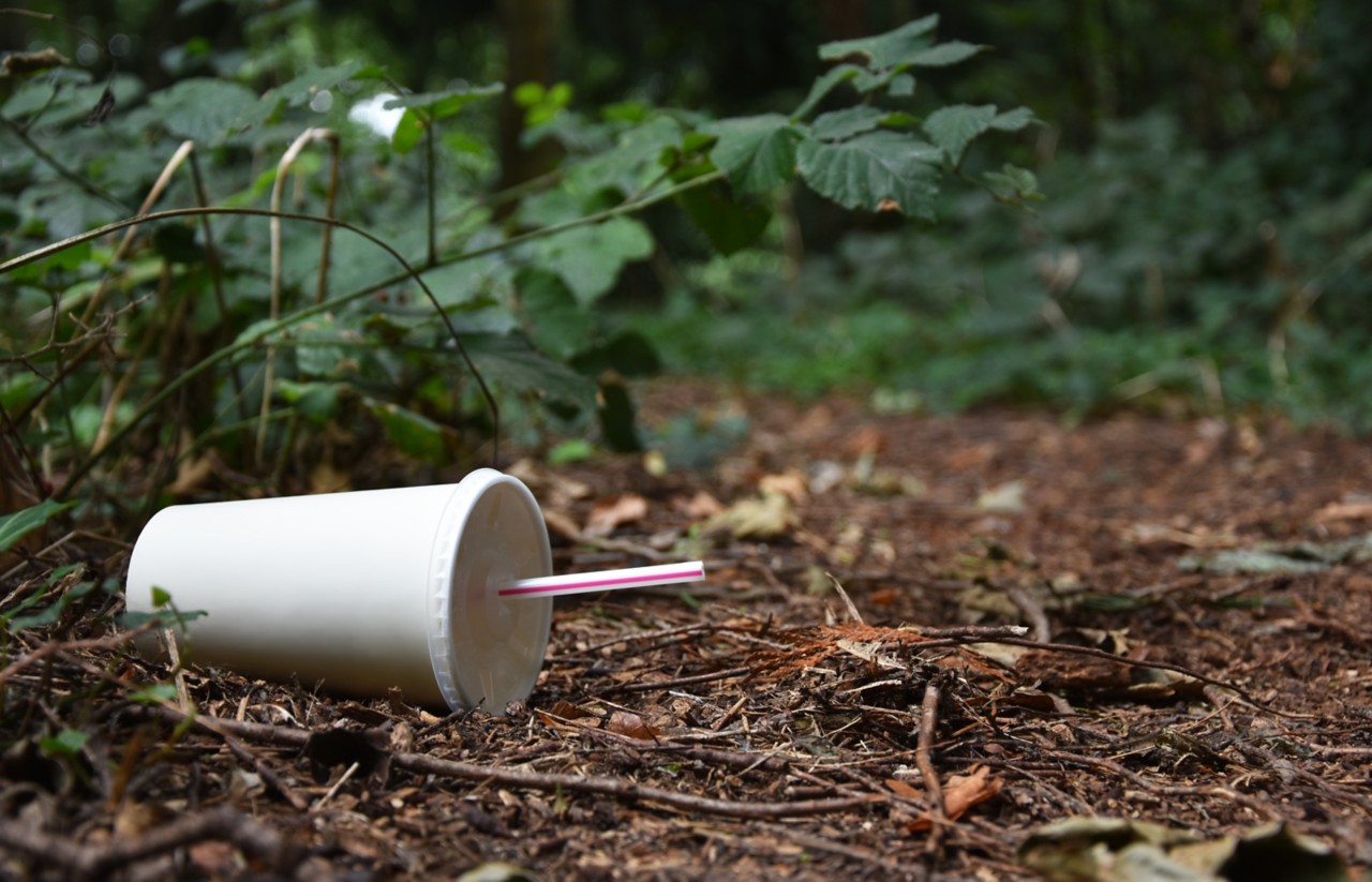 New food-safe Adhesive for Paper Straws in India