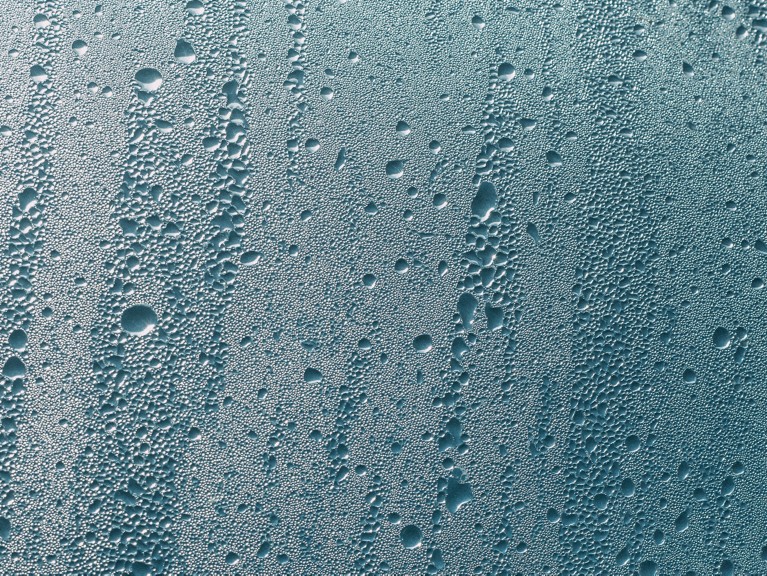 Les conséquences de l'humidité