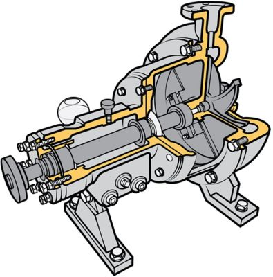 cutaway of a centrifugal pump