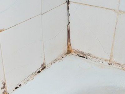 Mould: the dark side of moisture