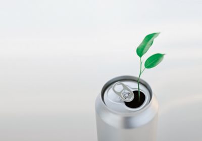 Green plant growing from open beverage can