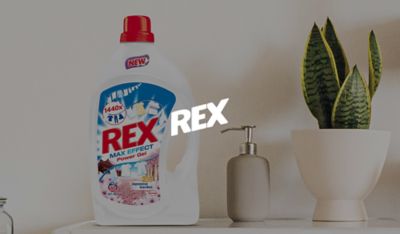 Rex | Rex