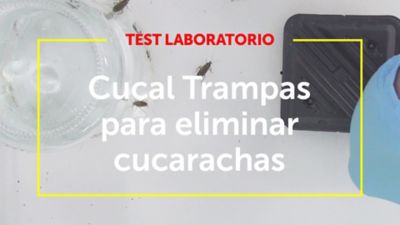 Cucal Trampas para eliminar Cucarachas - Test de producto en laboratorio