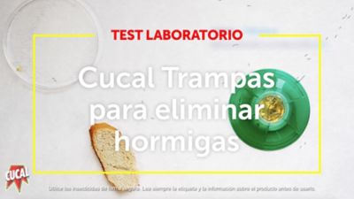 Cucal Trampas para eliminar Hormigas - Test producto en laboratorio