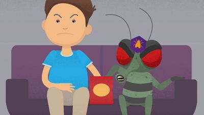 Mosca comiendo con humano. ¿Son muy peligrosas las moscas? ¿Qué hacen las moscas con tu comida?