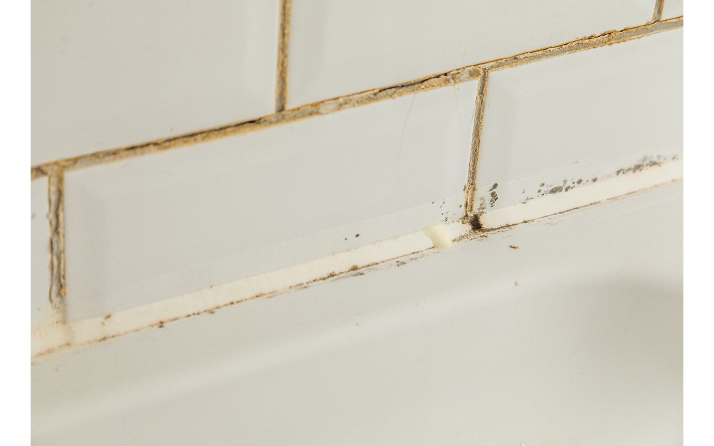 Sealants Everything you need to know