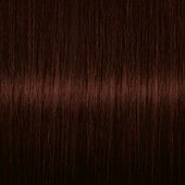 Bronze Brown - Hair Color