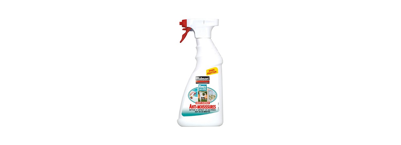 Spray Anti Moisissures