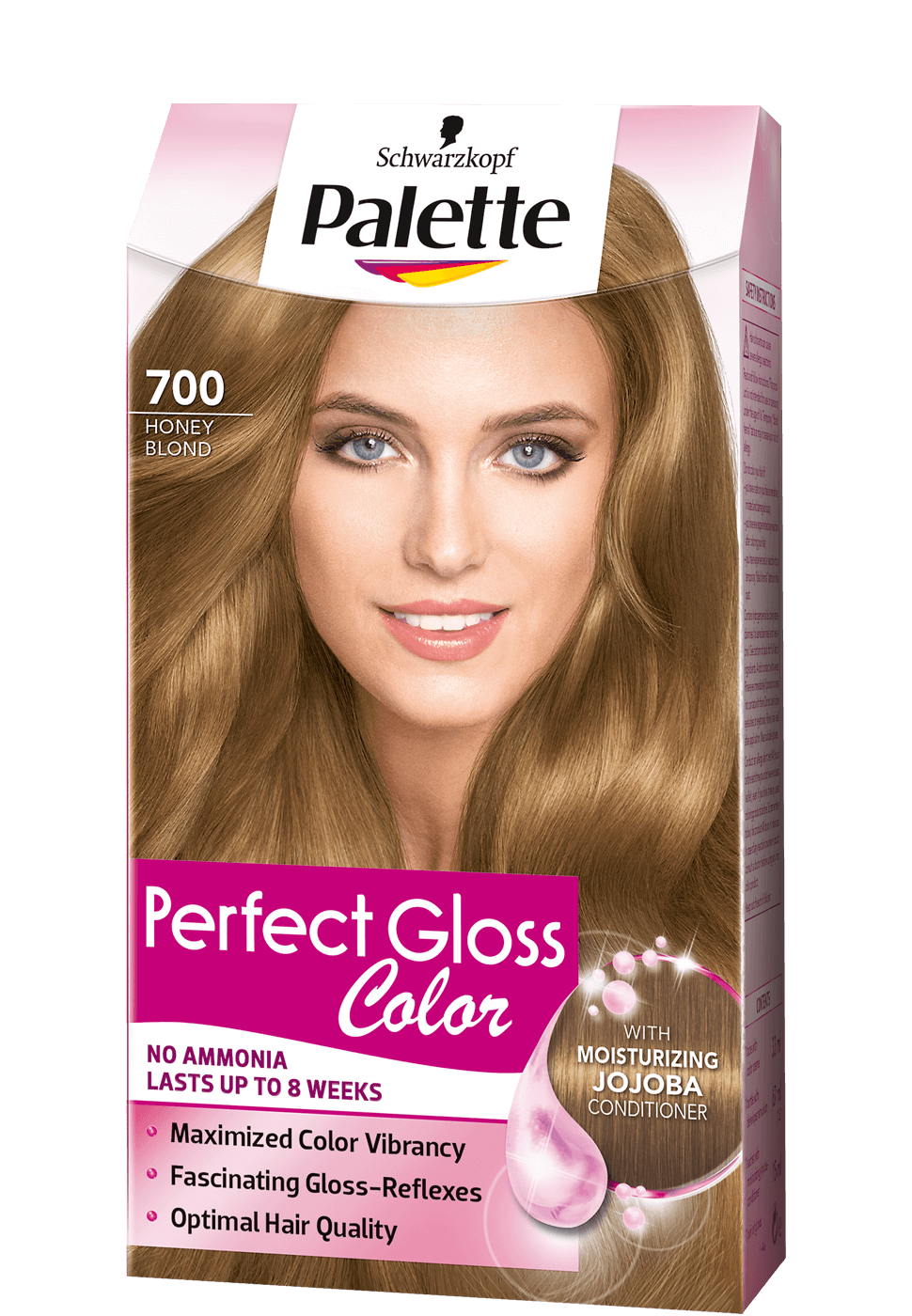 Palette Perfect Gloss Color