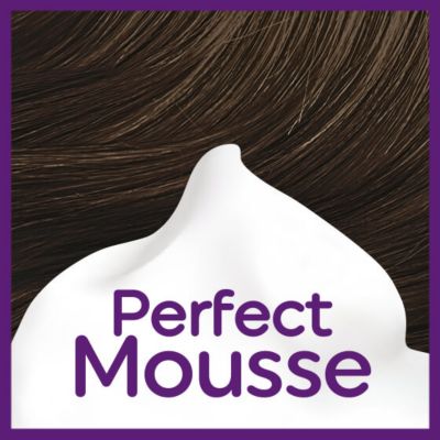 Perfect Mousse Coloration | Schwarzkopf