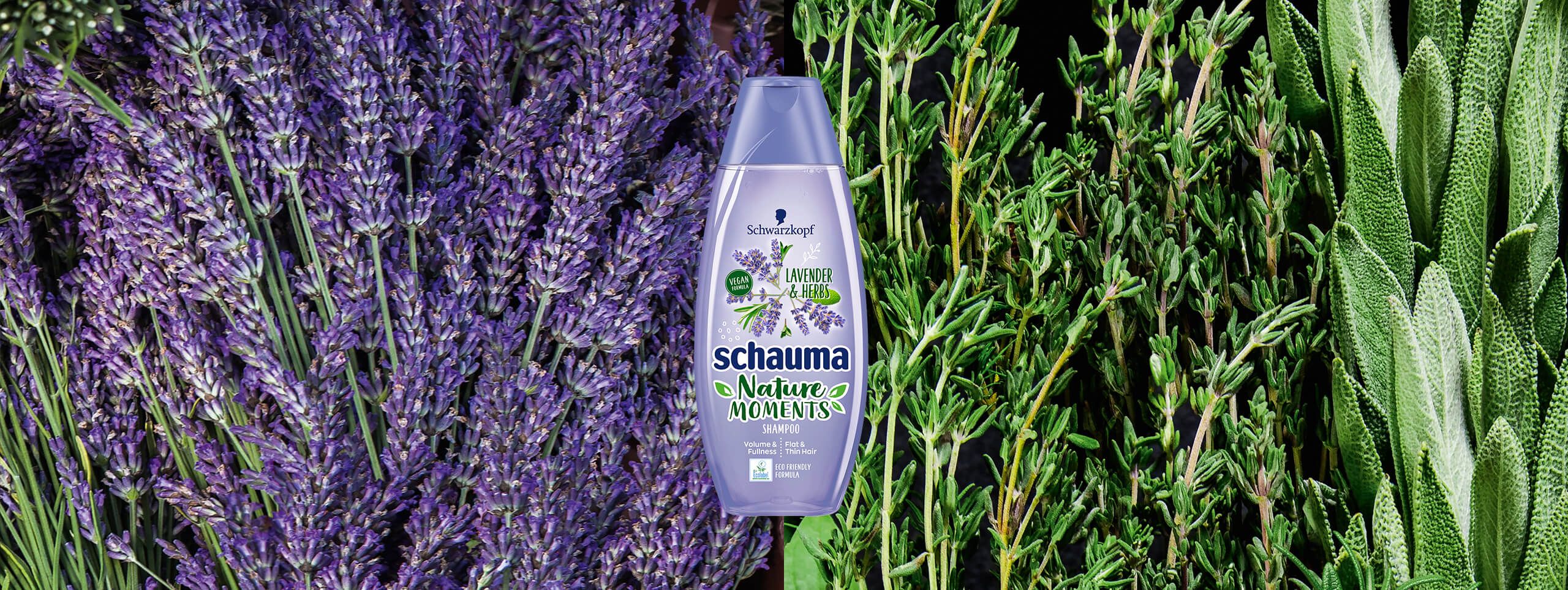 Nature Moments Lavender Herbs