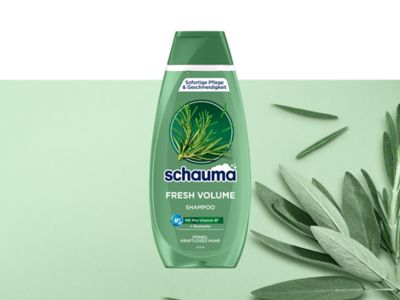 Schauma Fresh Volume Shampoo