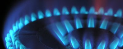 Flammes bleues d'une cuisinière à gaz 