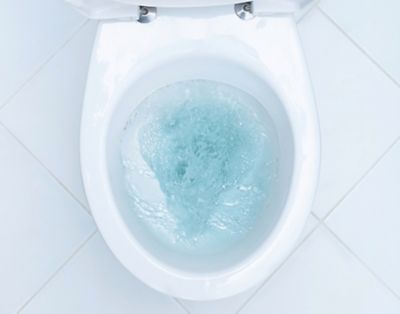 vacante Merecer Iluminar Limpieza del WC | Preguntas frecuentes | Bref