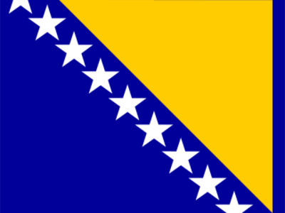 Bosna i Hercegovina Flag